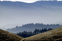 View from Mt. Tamalpais